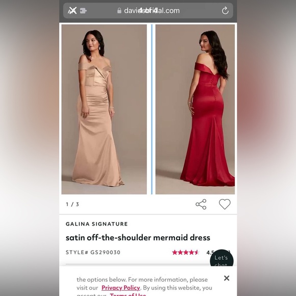 Galina Signature dress sand color bridesmaid or formal dress - Picture 4 of 4